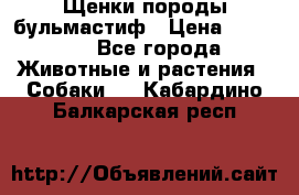 Щенки породы бульмастиф › Цена ­ 25 000 - Все города Животные и растения » Собаки   . Кабардино-Балкарская респ.